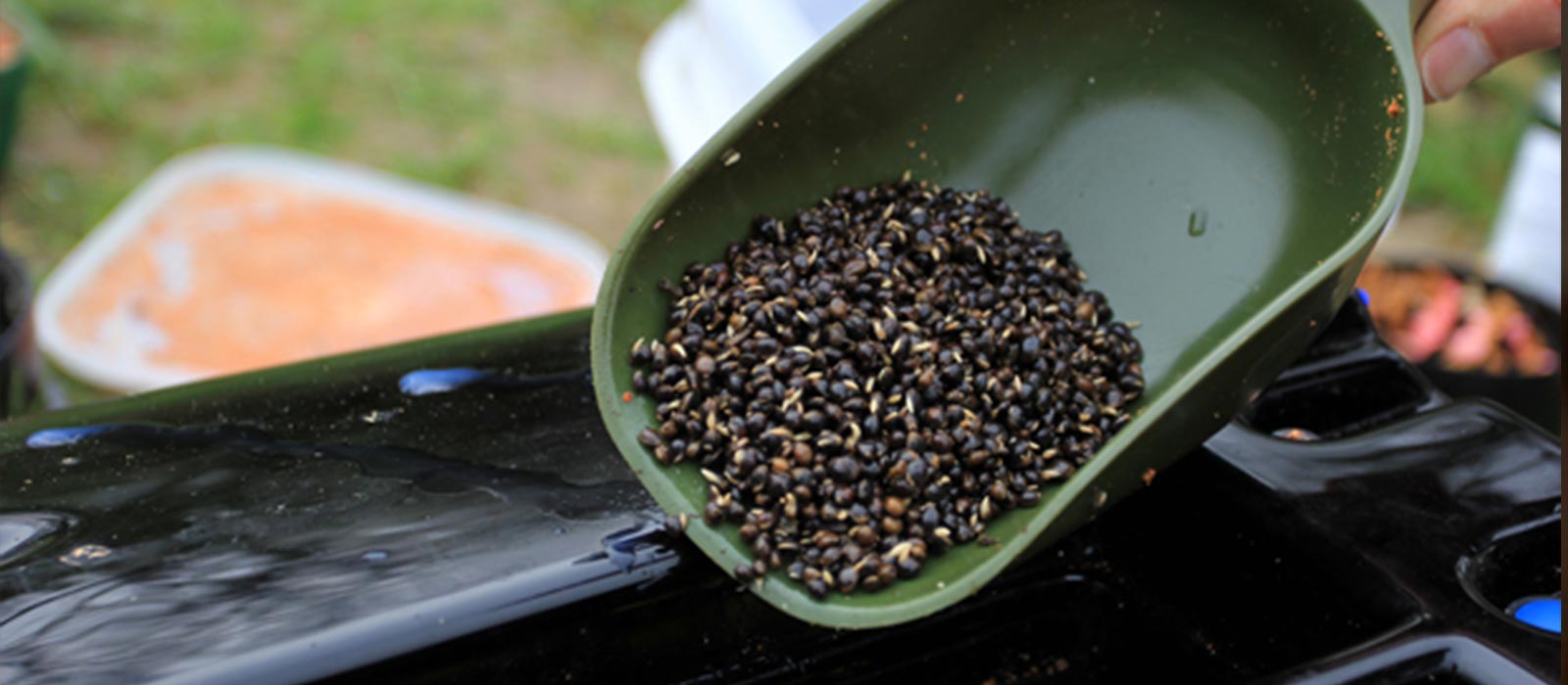 Vissen met hennep, zo vis je nog beter! - Raven Blog