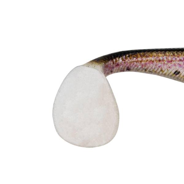 Senshu Real Fin Shad 8 | Regenbogenforelle | 8cm | 4g | 4 Stück