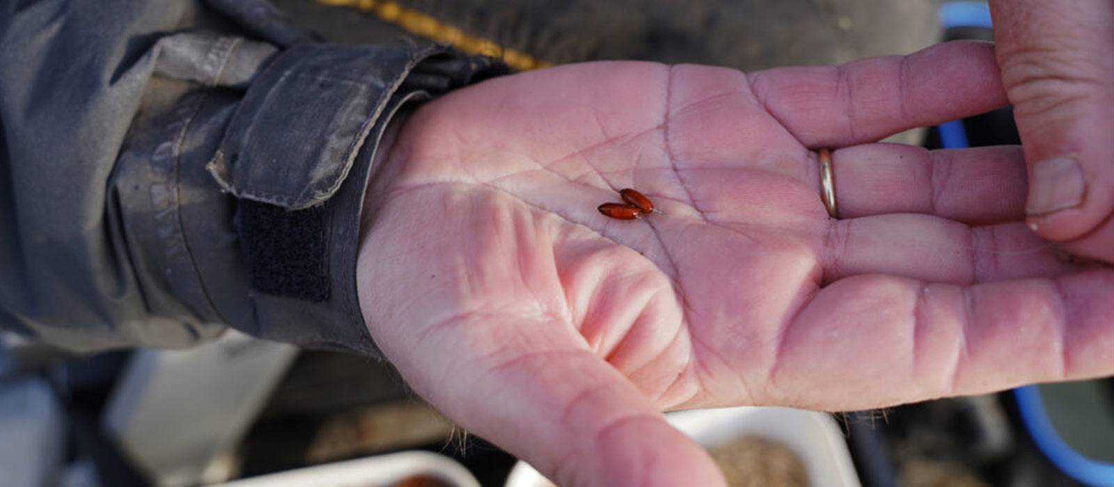 Met casters vissen in de haven
