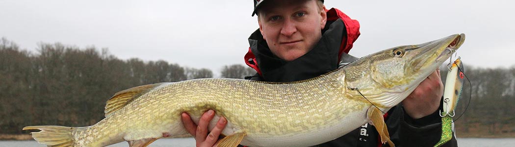 Grote snoek op een natuurlijke kleur plug