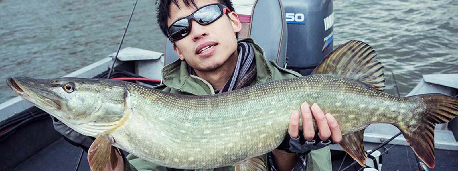 dlt_gummi_snoek_raven