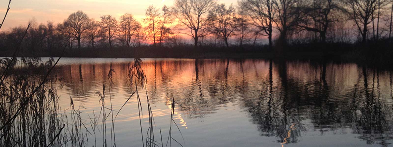 graskarper_kanaal_raven