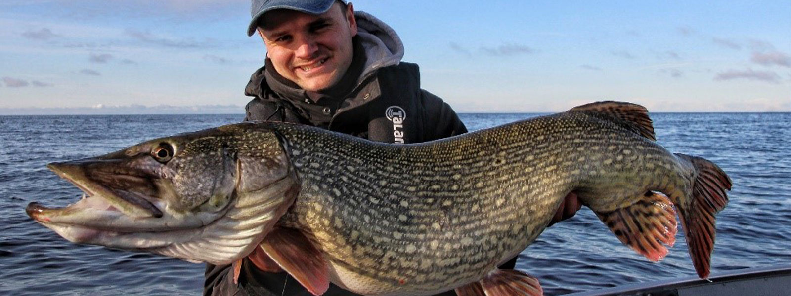 Een dikke snoek op aasvis