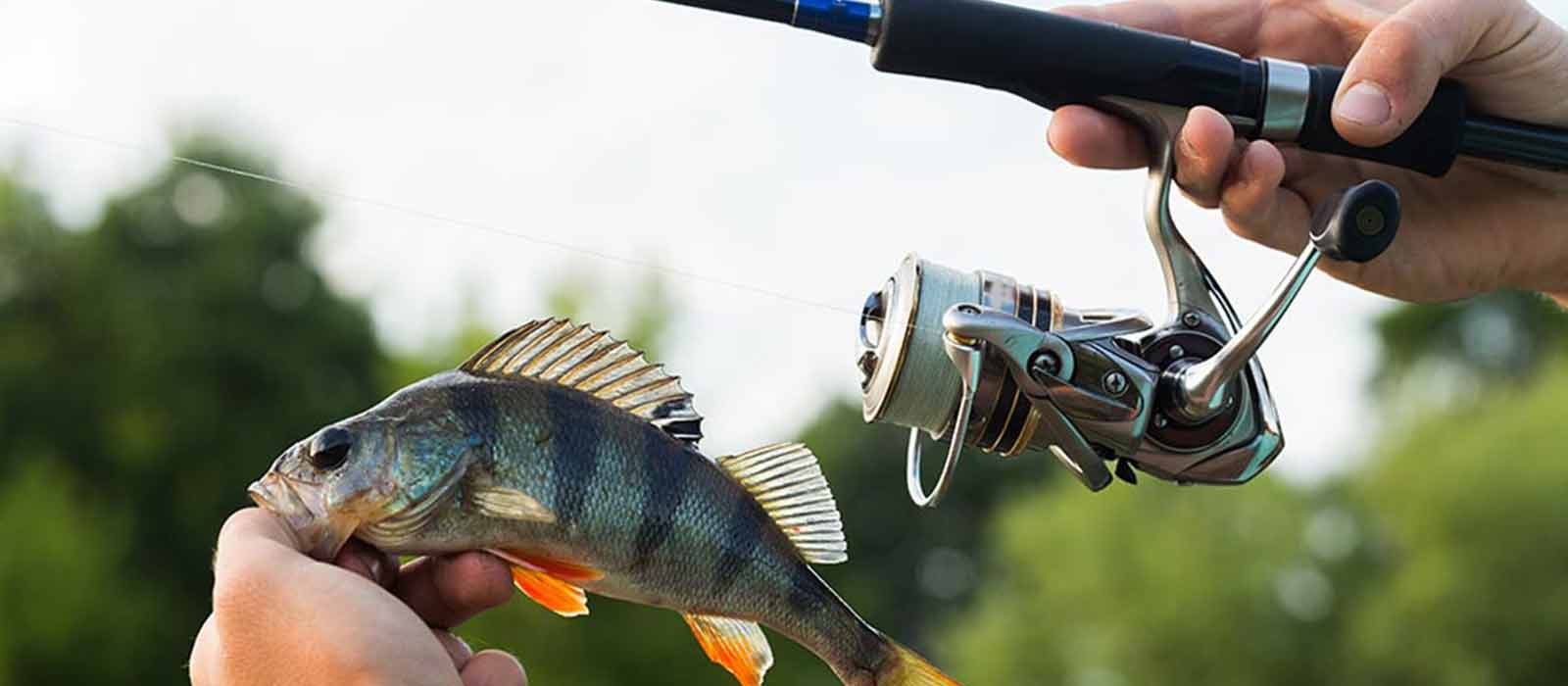 Baars_spinhengel_molen