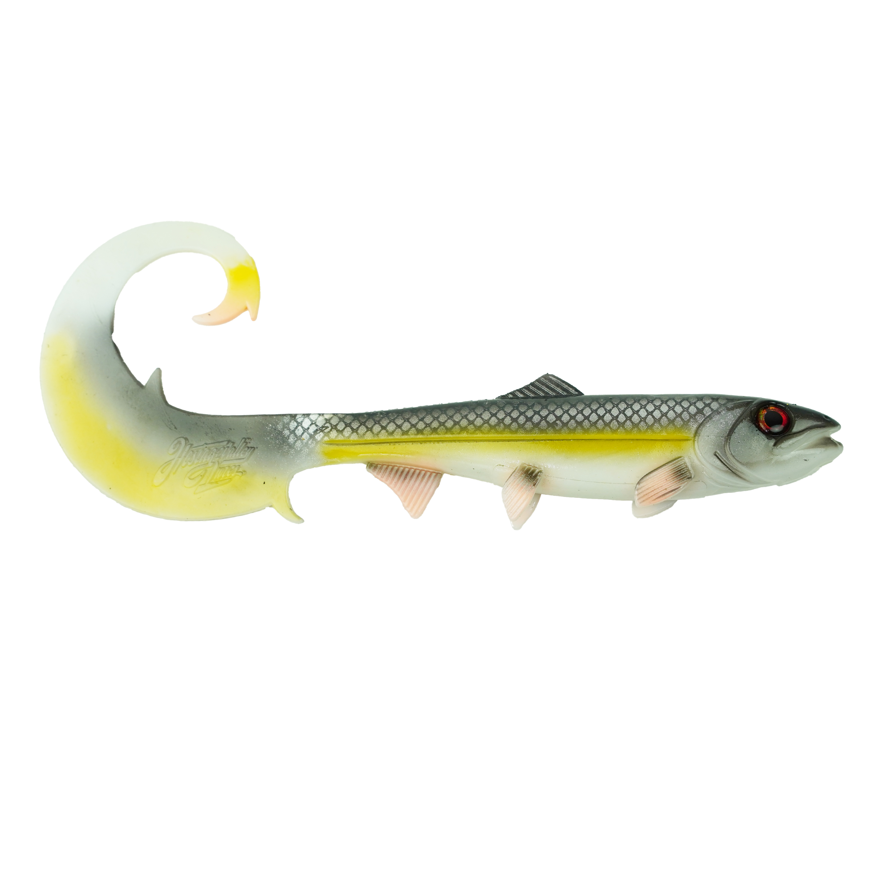 Hostagevalley Curlytail - Vivaneau Orange - 24cm