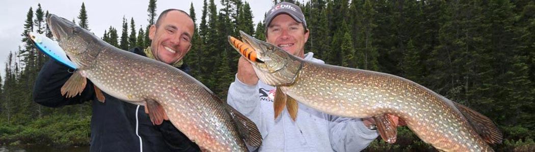 Snoeken die zijn gevangen door te vissen met pluggen.