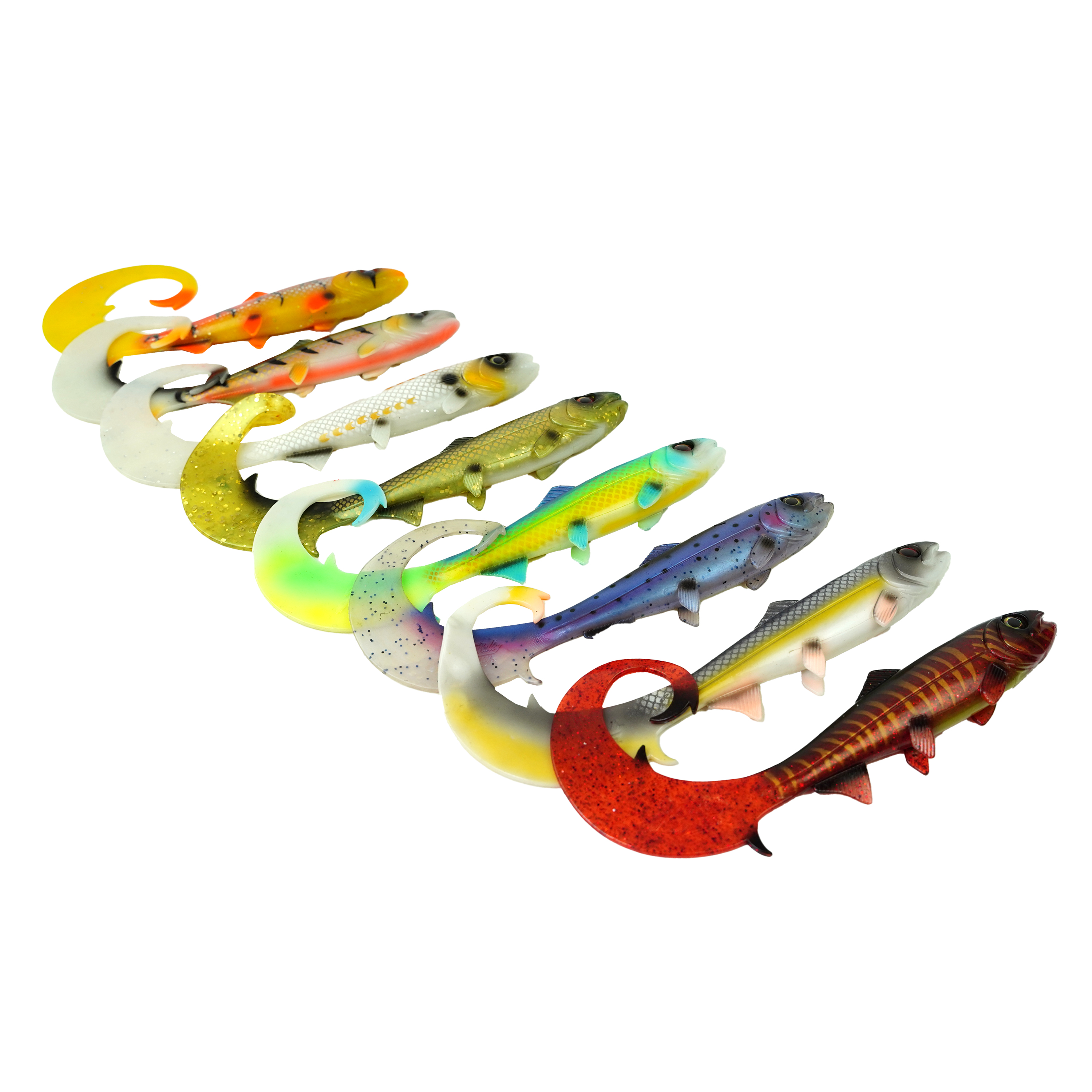 Hostagevalley Curlytail - Perche Pourpre - 24cm