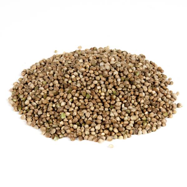 Evezet Hennep Zaad | 5kg