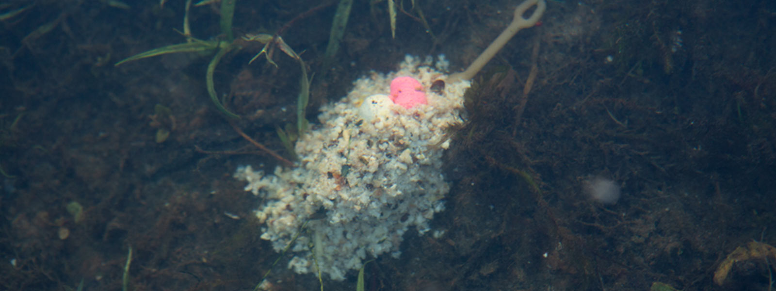 Method-Korb unter Wasser