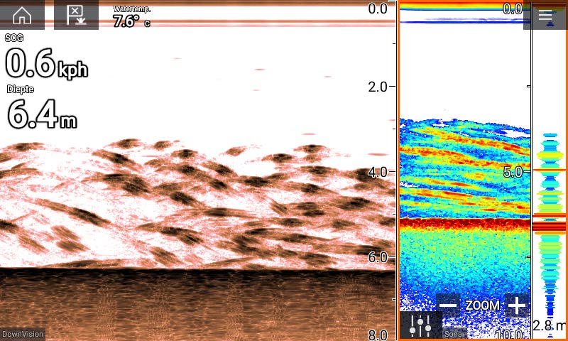 Fishfinder met downscan