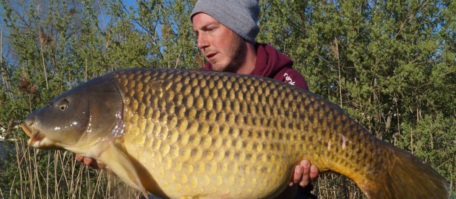 Karpfenfang_Foto