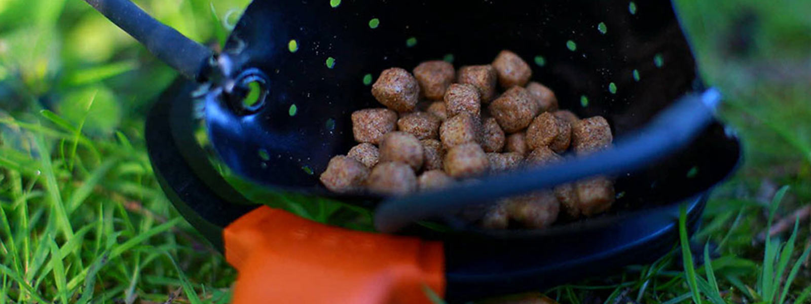 Katapult_crafty_catcher