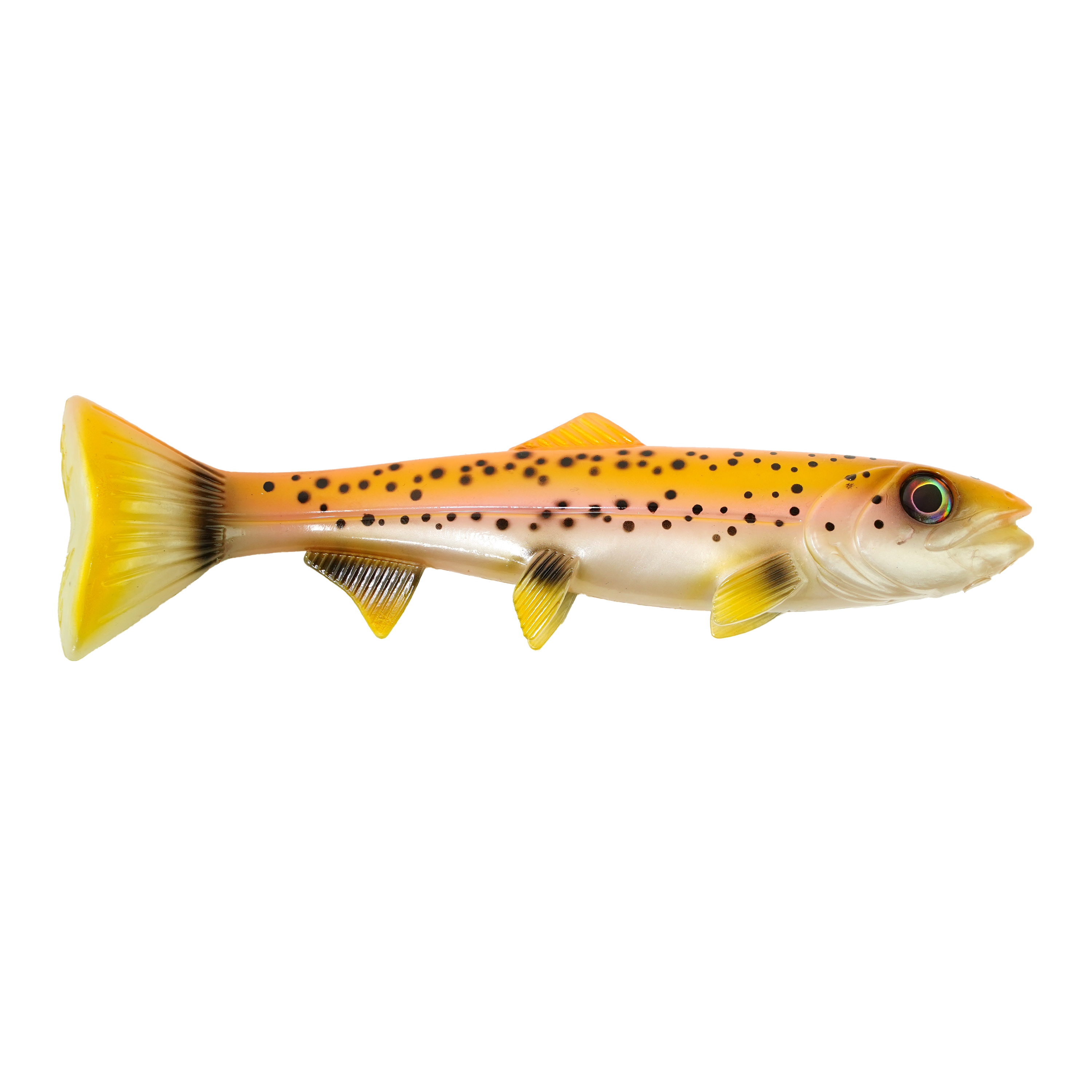 Hostagevalley Troubletail - Goldforelle - 18cm