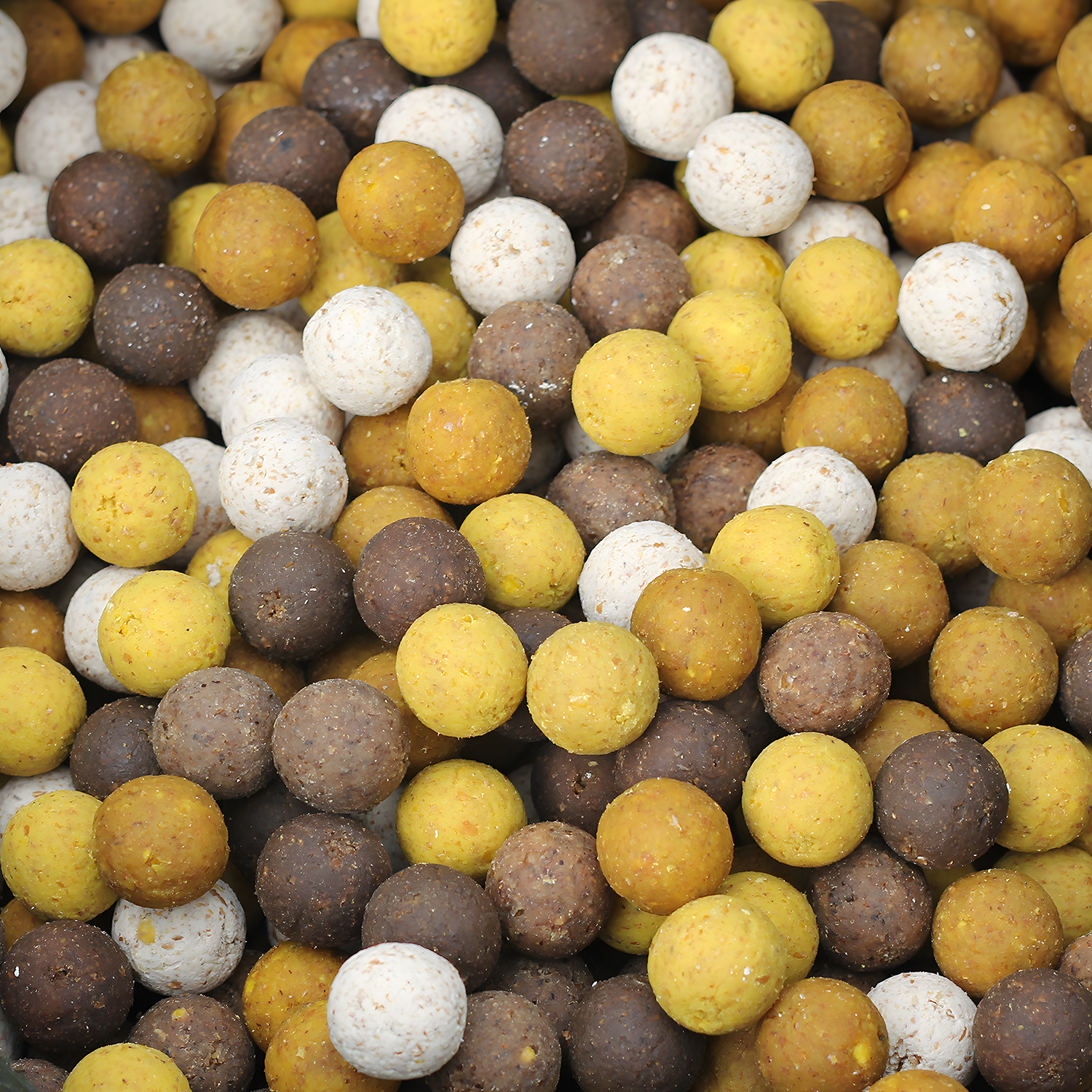 Tasty Baits SCOPEX  Birdfeed | BOILIE | 20MM | 10 Kilo Zak | met vogelzaad