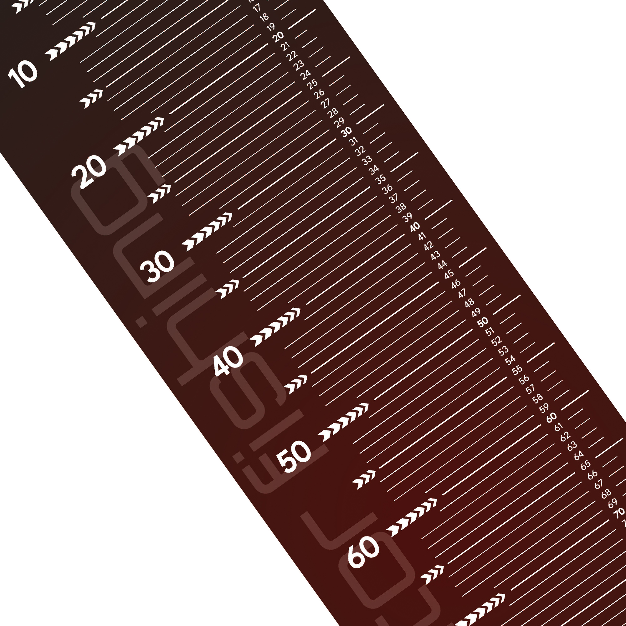 DLT Roofvis Meet/Onthaak mat - 135x20cm