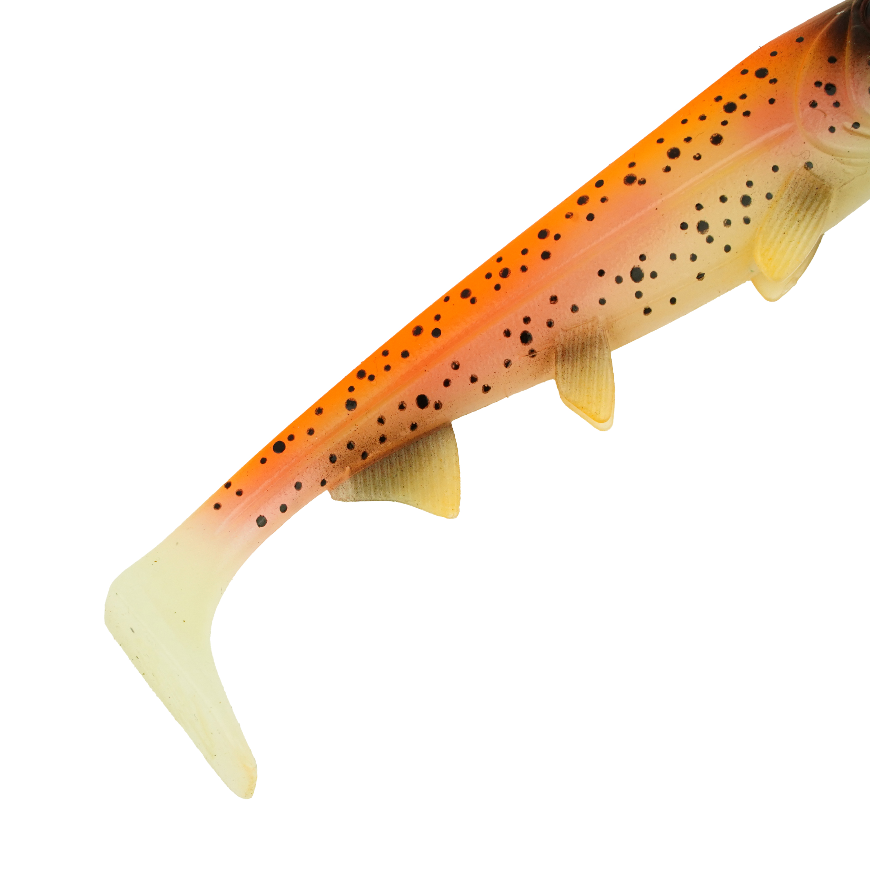Hostagevalley Shad - Goldforelle - 22cm