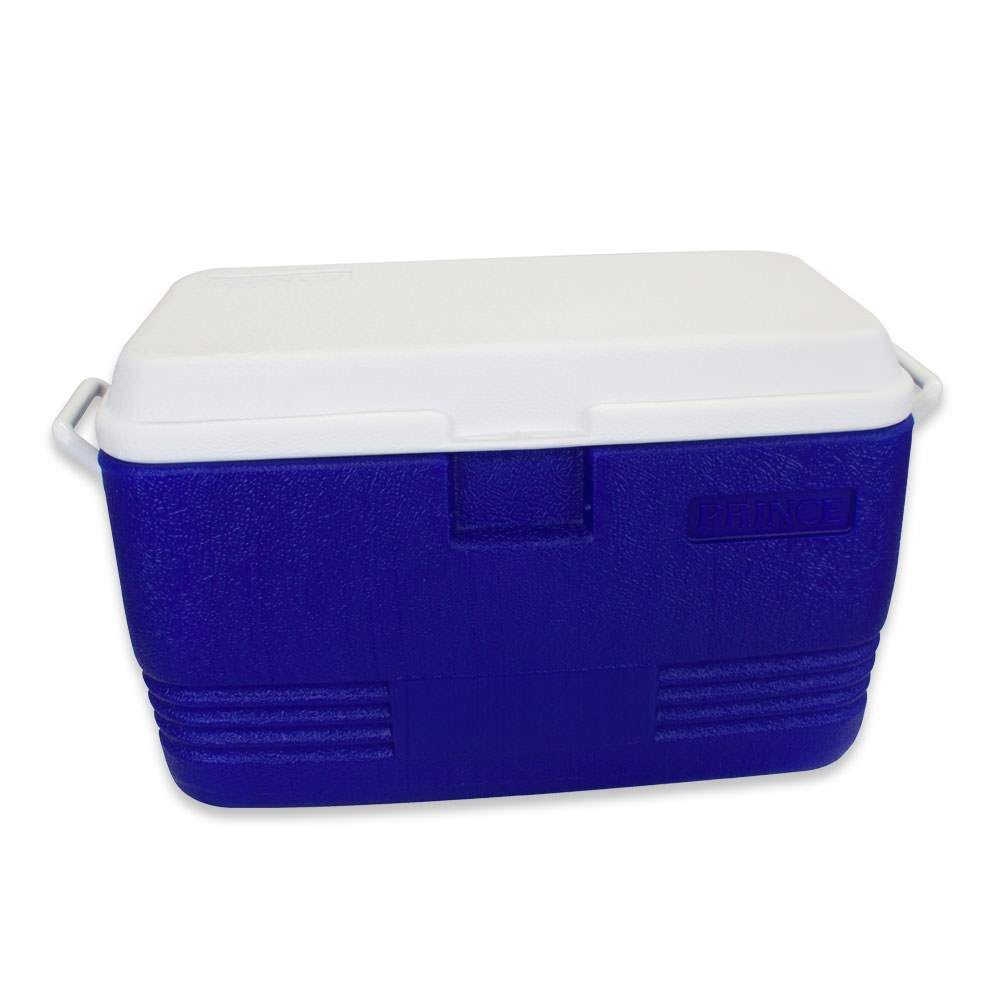 Waterside - Polarcooler Kühlbox - 40 Liter