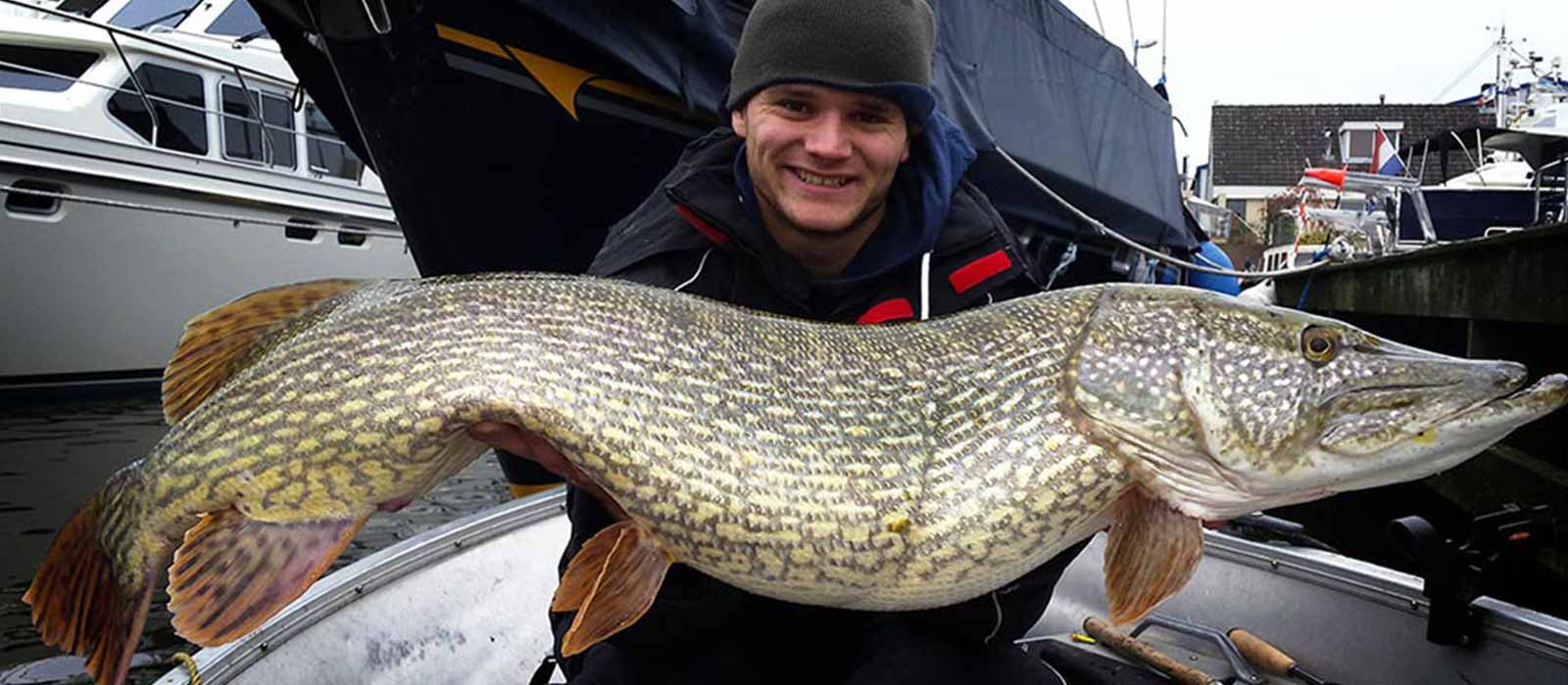 doodaas_stekken_raven