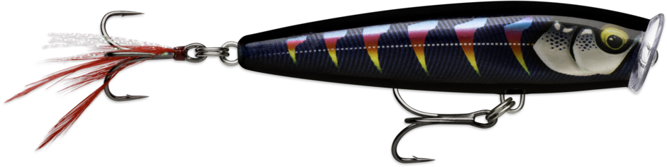 Rapala Skitter Pop Élite - 7,5 cm - Aurore de nuit dorée