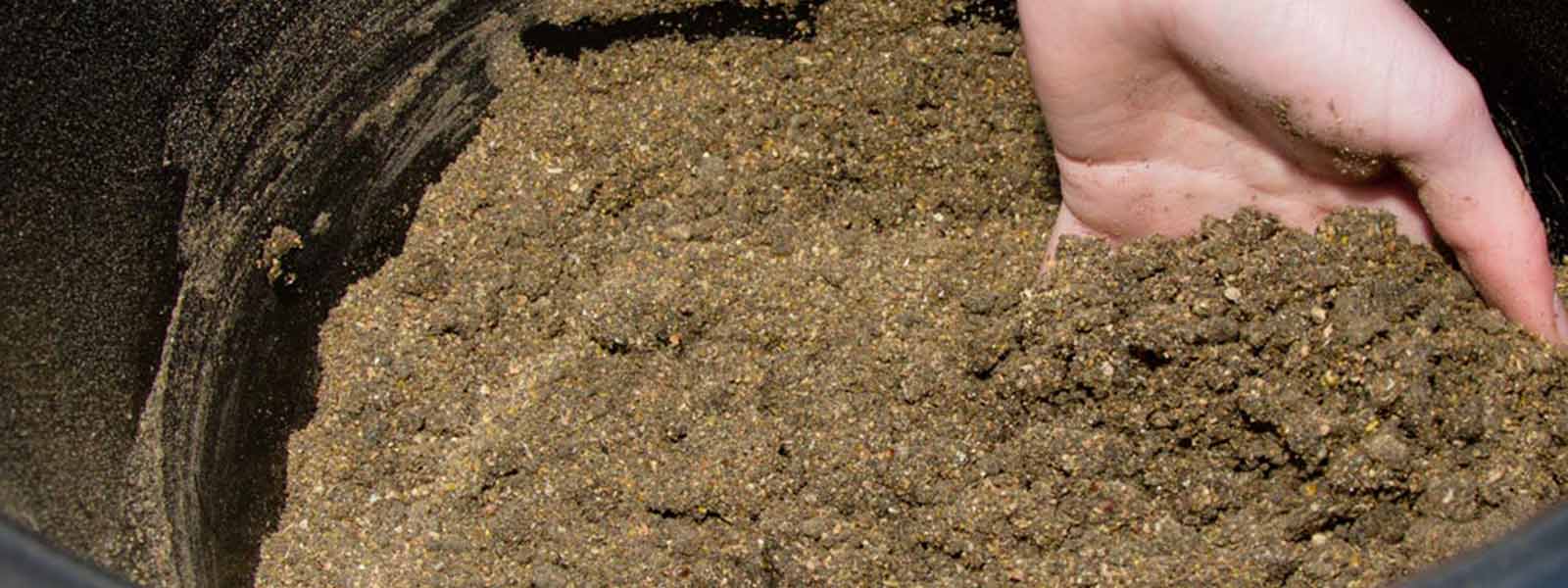 wintertips_voer_raven